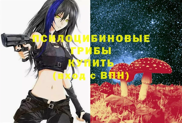 дмт Абинск