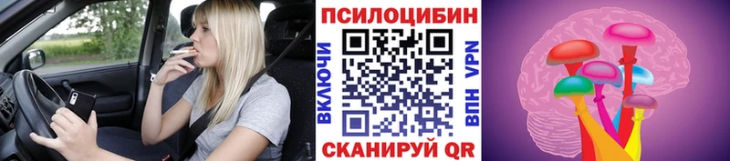Псилоцибиновые грибы Psilocybe  Орёл 